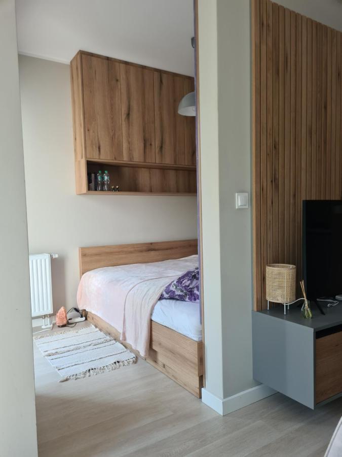Mostowa 23 Bruno Apartment, Self Check-In 24H, Free Parking, Air-Conditioning Poznań Buitenkant foto